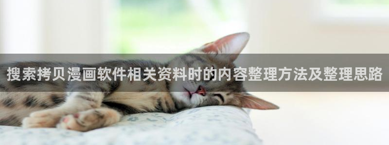 漫蛙漫画排行榜:搜索拷贝漫画软件相关资料时的内容整理方法及整理思路