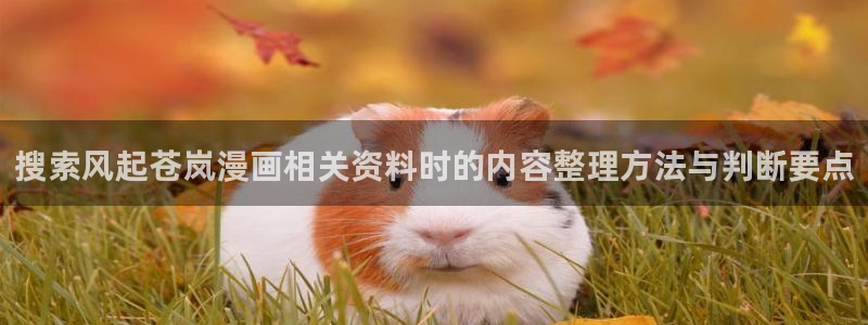 漫蛙漫画漫画免费看：搜索风起苍岚漫画相关资料时的内容整理方法与判断要点